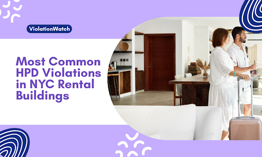 Most Common HPD Violations NYC